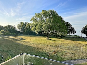 Eine grüne Wiese mit einem großen Baum und einem Gewässer im Hintergrund.