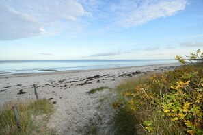 En strand med klar himmel, sandstrand och en del växtlighet.