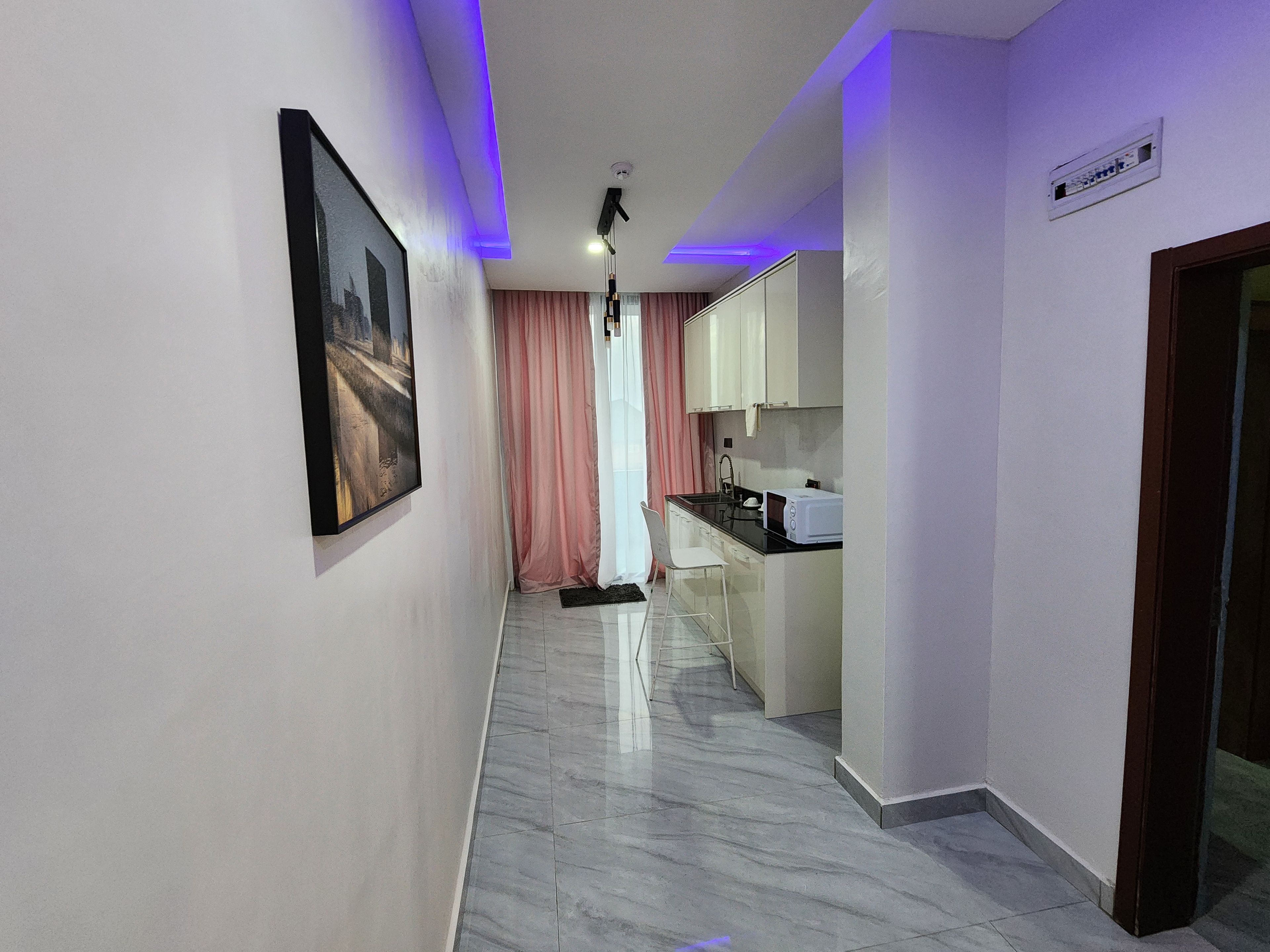 Un couloir avec un coin cuisine, un tableau encadré au mur et un luminaire au plafond.