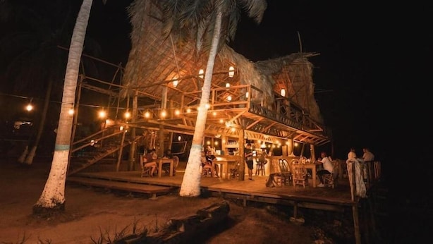 Una estructura con techo de paja, con asientos al aire libre y luces colgantes, rodeada de palmeras.