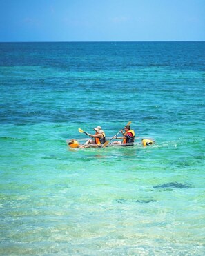Dos personas remando en un mar azul y despejado.