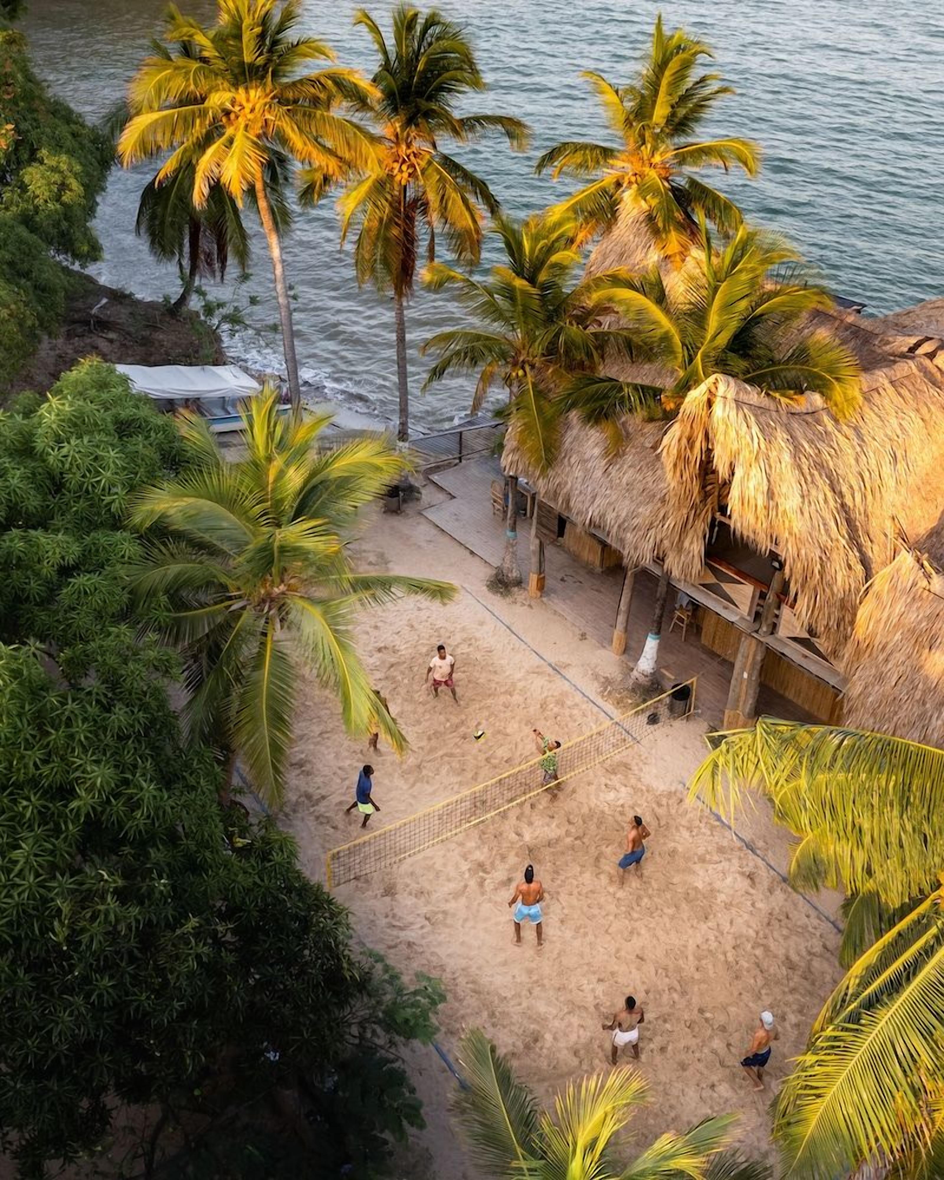 A beach with a volleyball net, palm trees, and a thatched-roof structure.