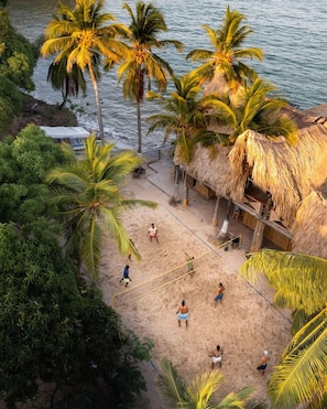 Una playa con una red de voleibol, palmeras y una estructura de techo de paja.
