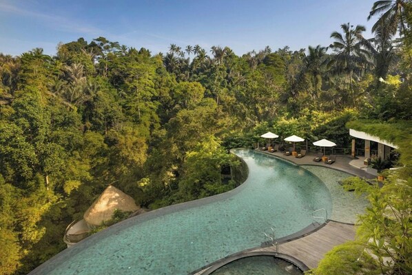 A curved infinity pool surrounded by lush greenery and palm trees, with lounge chairs and umbrellas.