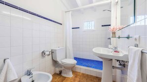 シャワー、ヘアドライヤー、タオル、トイレットペーパー
