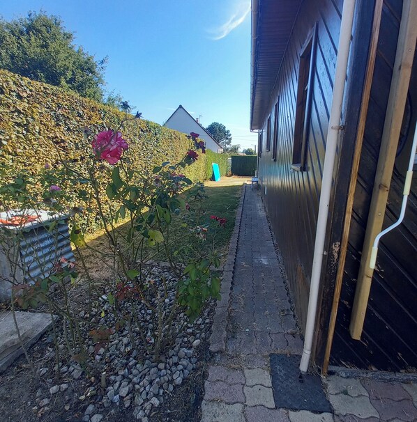 A garden with a pathway leading to a building. There is a large bush with pink flowers and a hedge in the background.