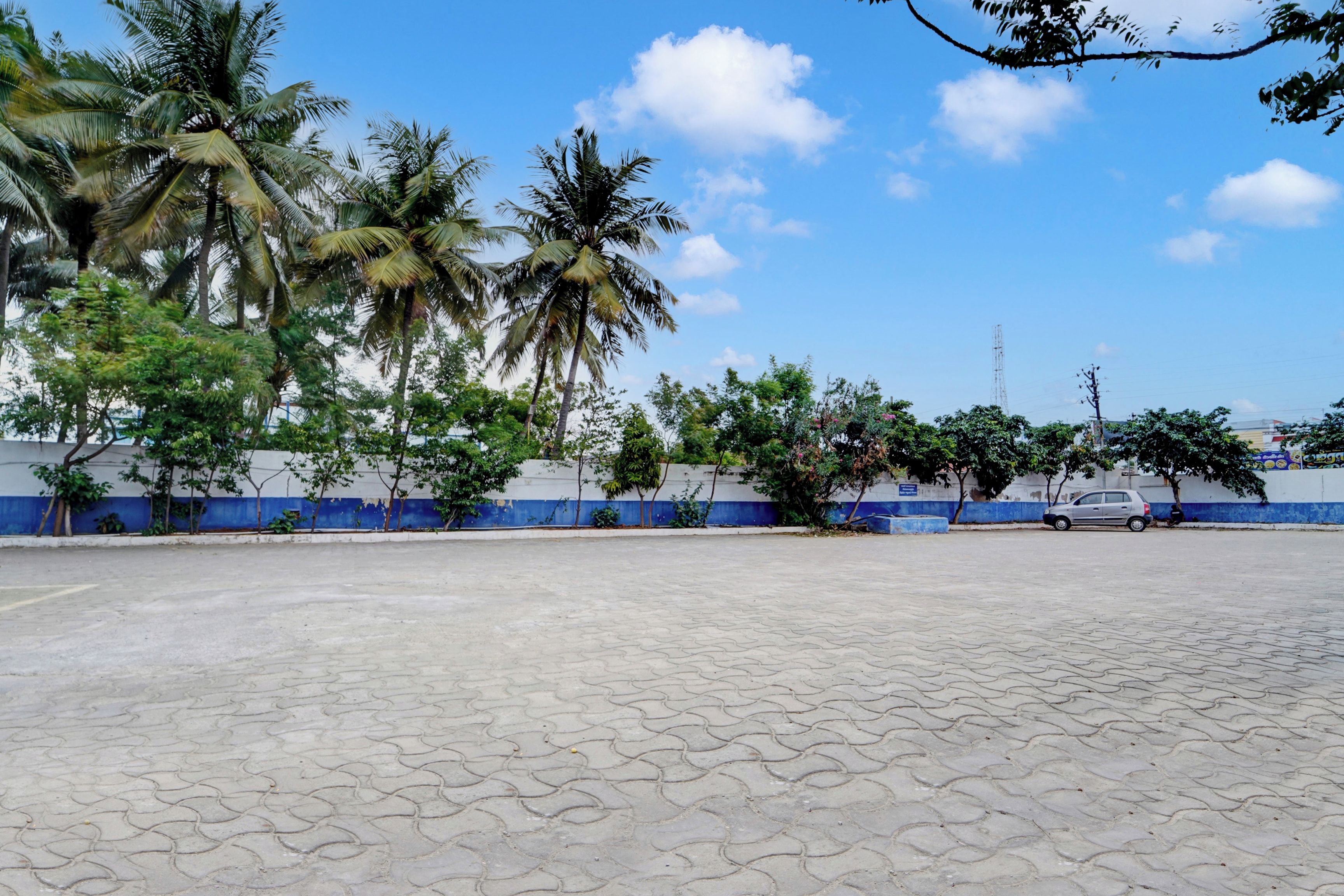 A paved parking area with palm trees and a blue wall in the background.