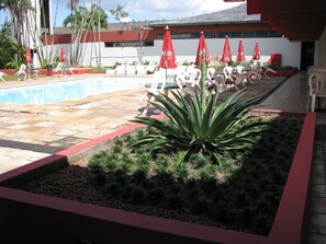 Un espace piscine agrémenté de chaises longues et de parasols, entouré d’un jardin avec des plantes et un palmier.