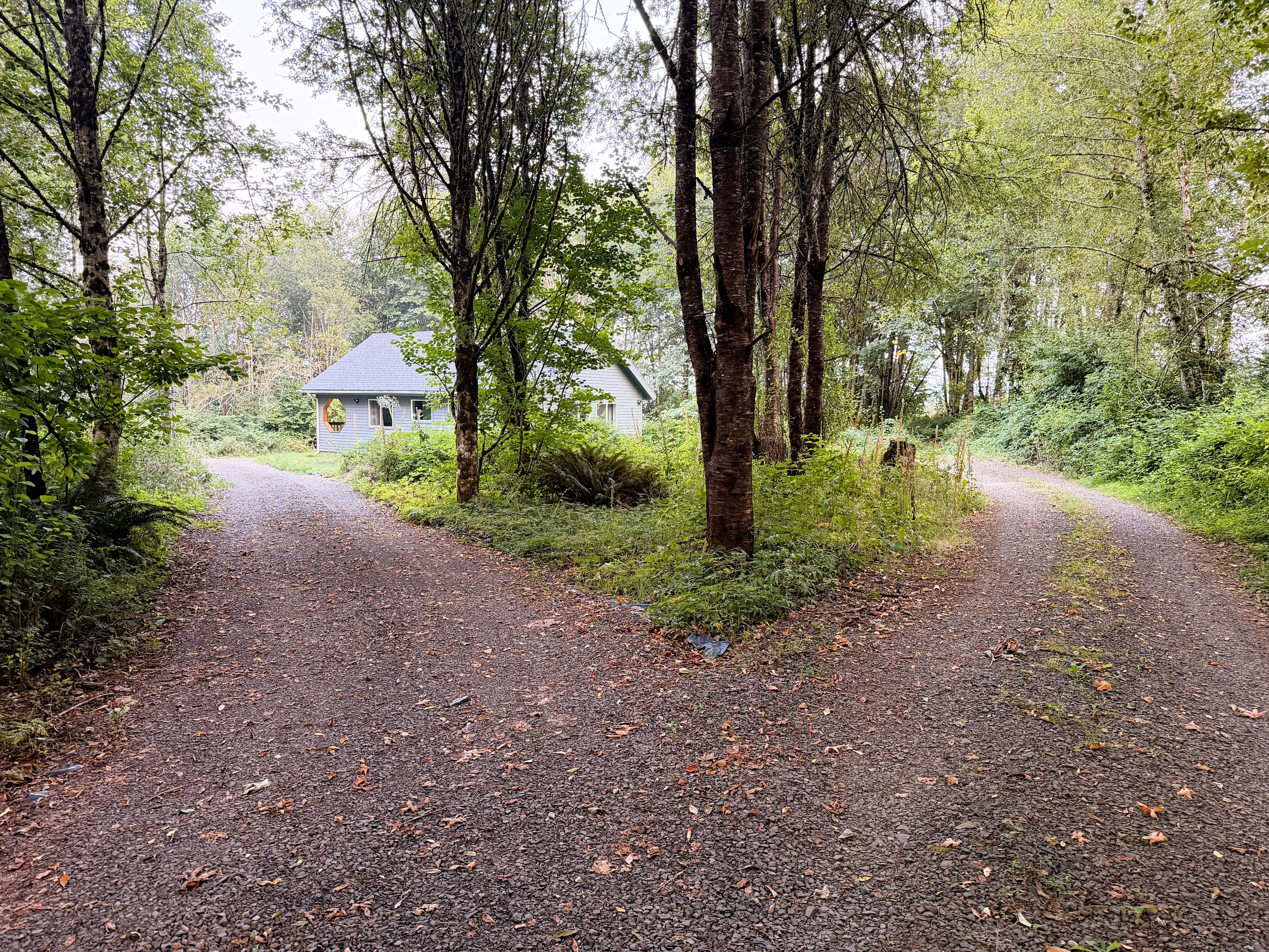 A gravel path leading to a house surrounded by trees and greenery.