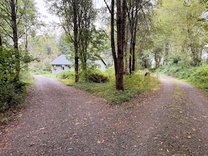 A gravel path leading to a house surrounded by trees and greenery.