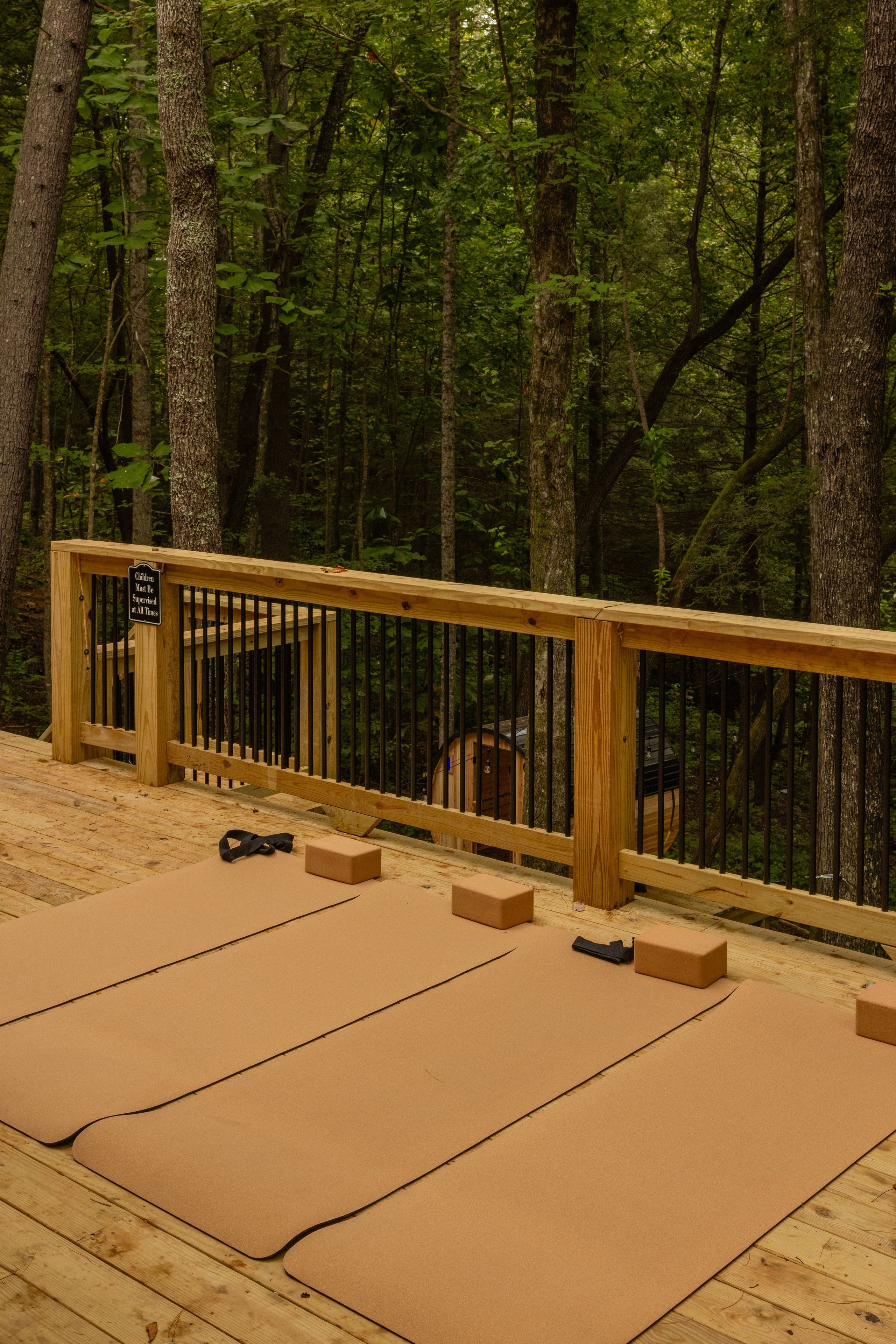 A wooden deck with a metal railing, surrounded by a forest.