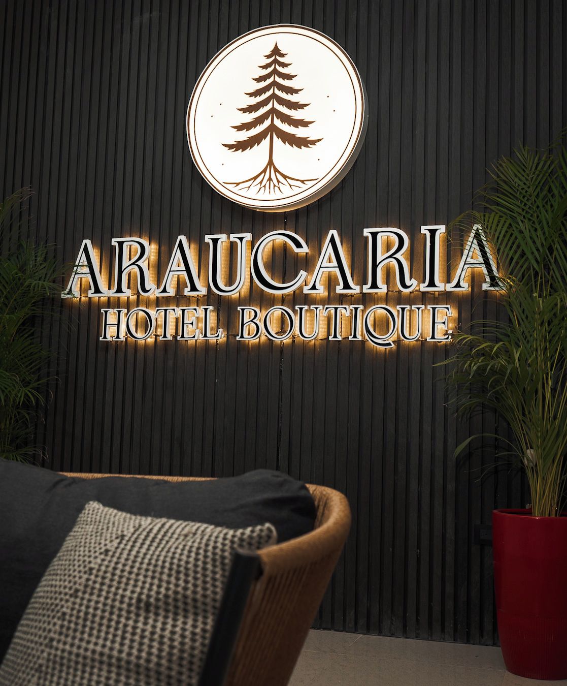 A hotel sign with a tree logo and the name 'ArauCaria Hotel Boutique' against a dark wooden background.