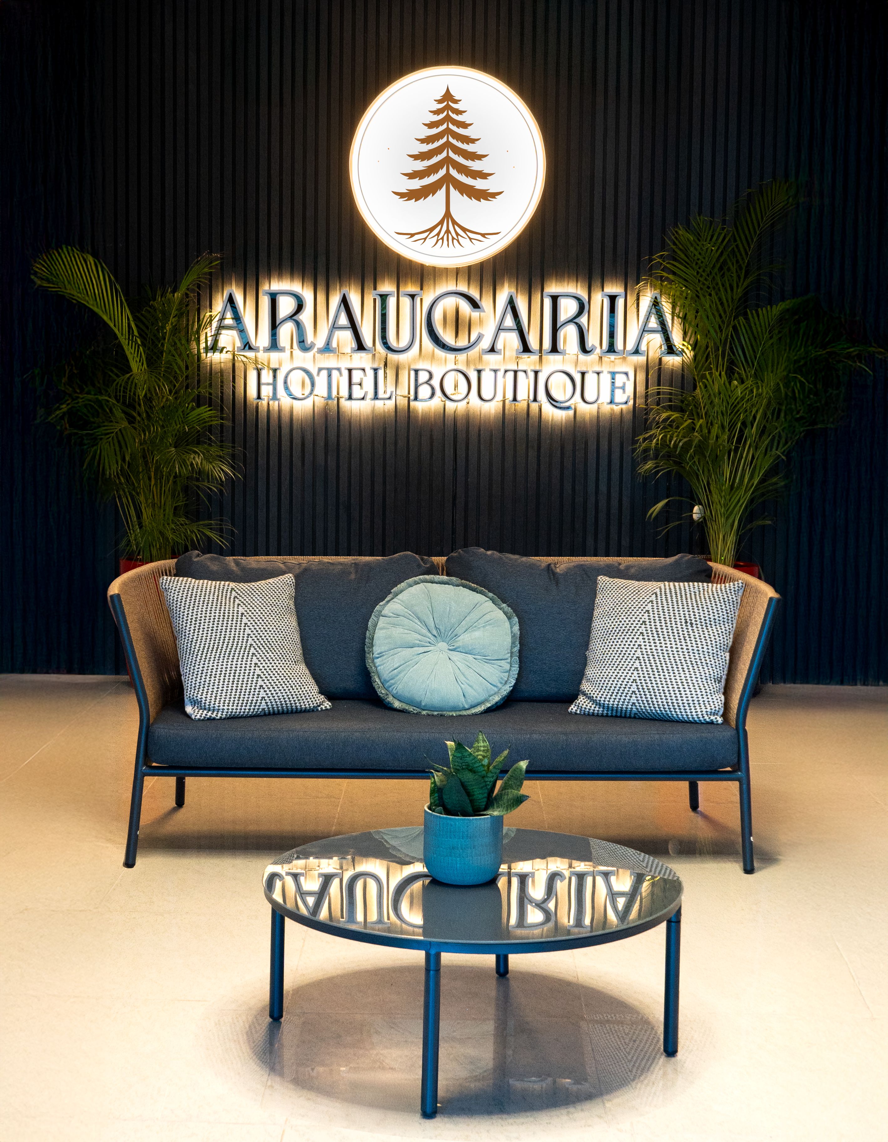 A modern sofa with patterned cushions, a glass coffee table with a plant, and a sign reading 'ARAUCARIA HOTEL BOUTIQUE' against a dark background.