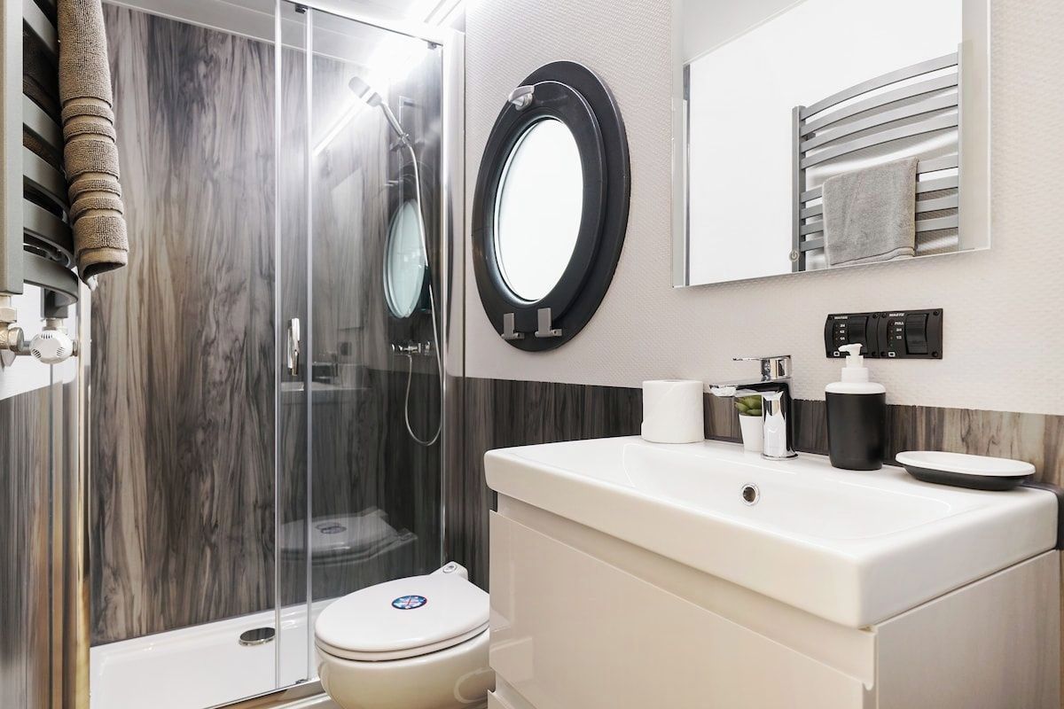 A modern bathroom with a glass shower enclosure, a toilet, a sink, and a mirror.