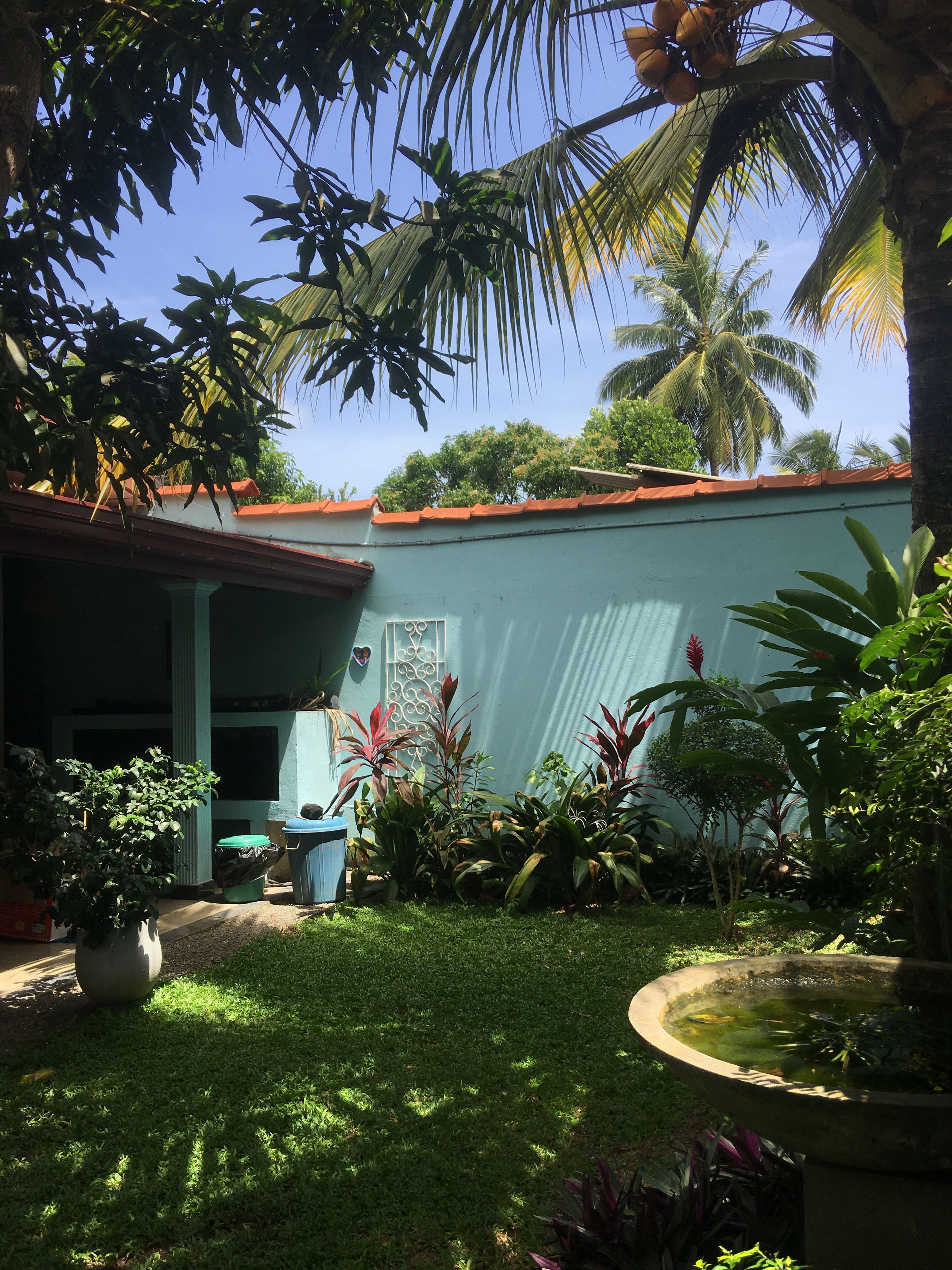 Área residencial com uma casa, um pequeno jardim e uma palmeira.