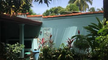 Área residencial com uma casa, um pequeno jardim e uma palmeira.