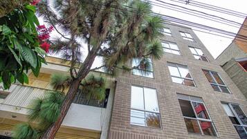 Un edificio de varios pisos con fachada de ladrillo, múltiples ventanas y un árbol en la entrada.