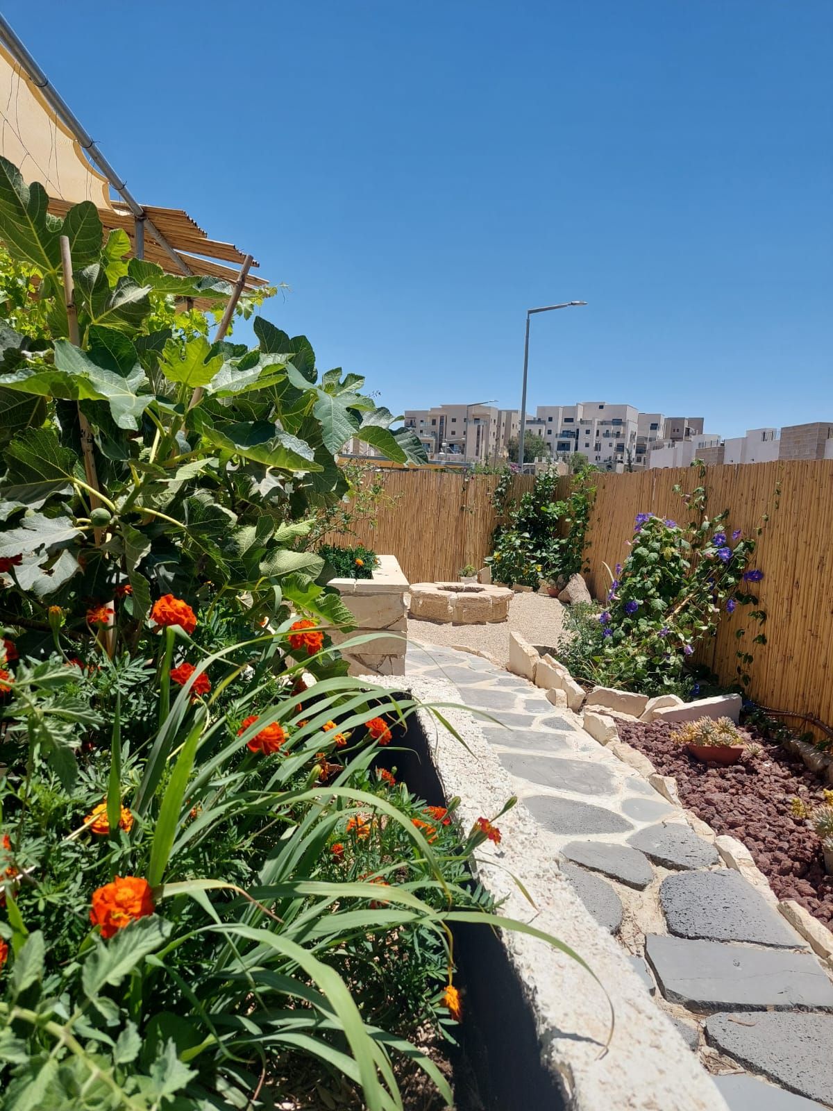 Un sendero en un jardín con plantas y una valla de madera.