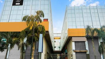 A modern building with a glass facade, a central entrance with steps, and palm trees in the foreground.