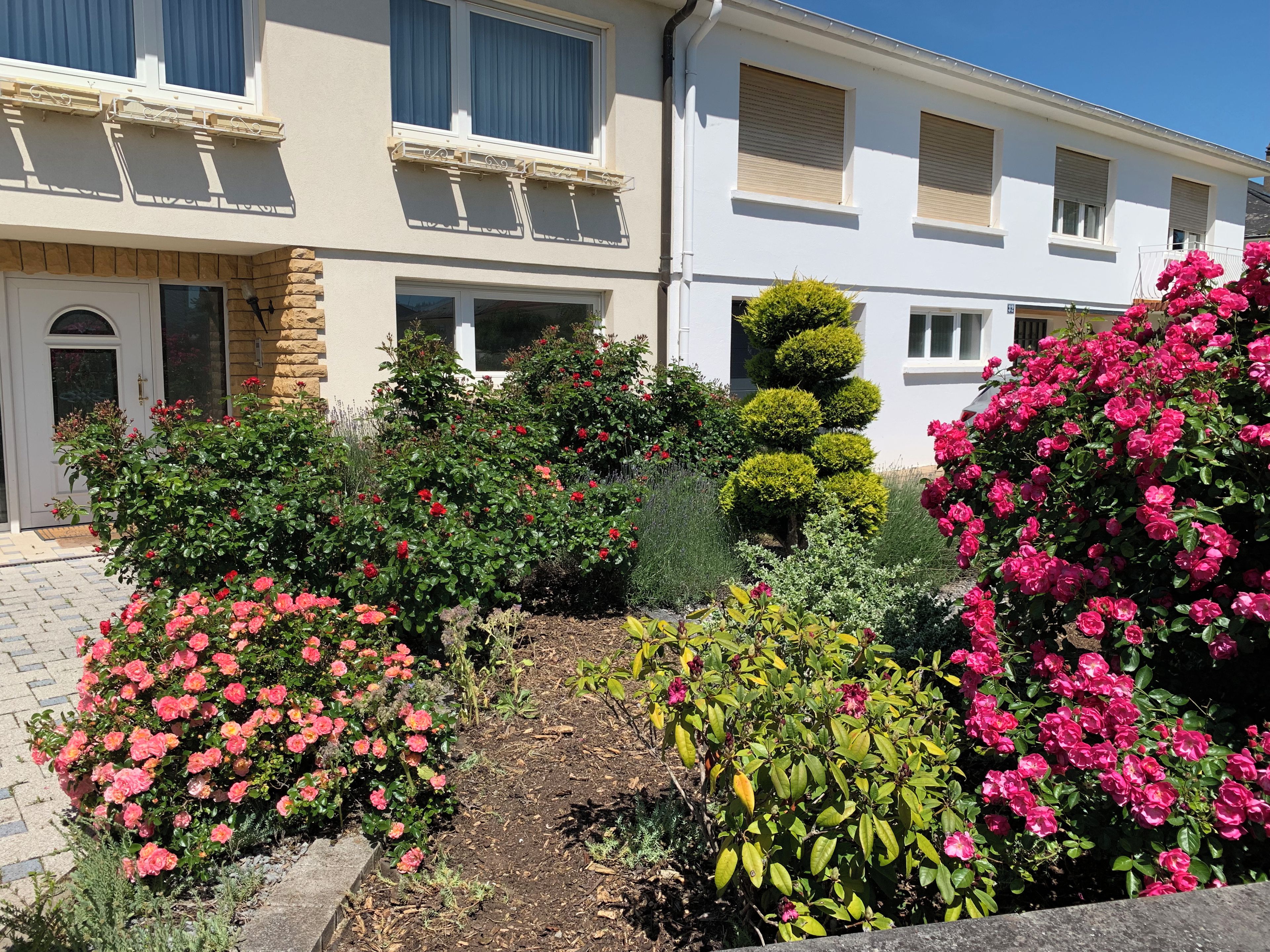 A residential building with a garden featuring various shrubs and flowers.