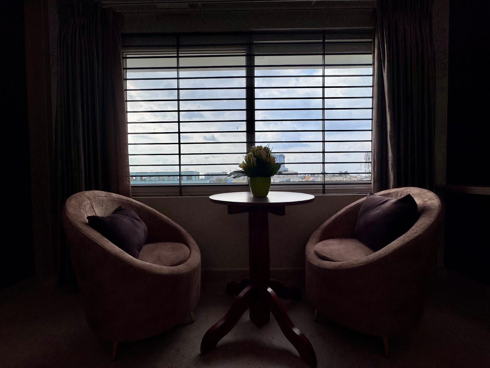 Una habitación con dos sillones, una mesita redonda con una planta en maceta y una ventana con persianas horizontales.