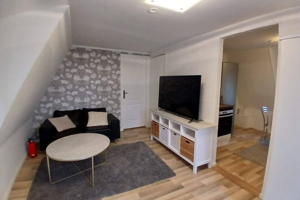 Apartment, 1 Bedroom | Living room