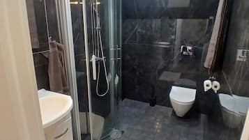 A modern bathroom with a glass shower enclosure, a toilet, and a sink.