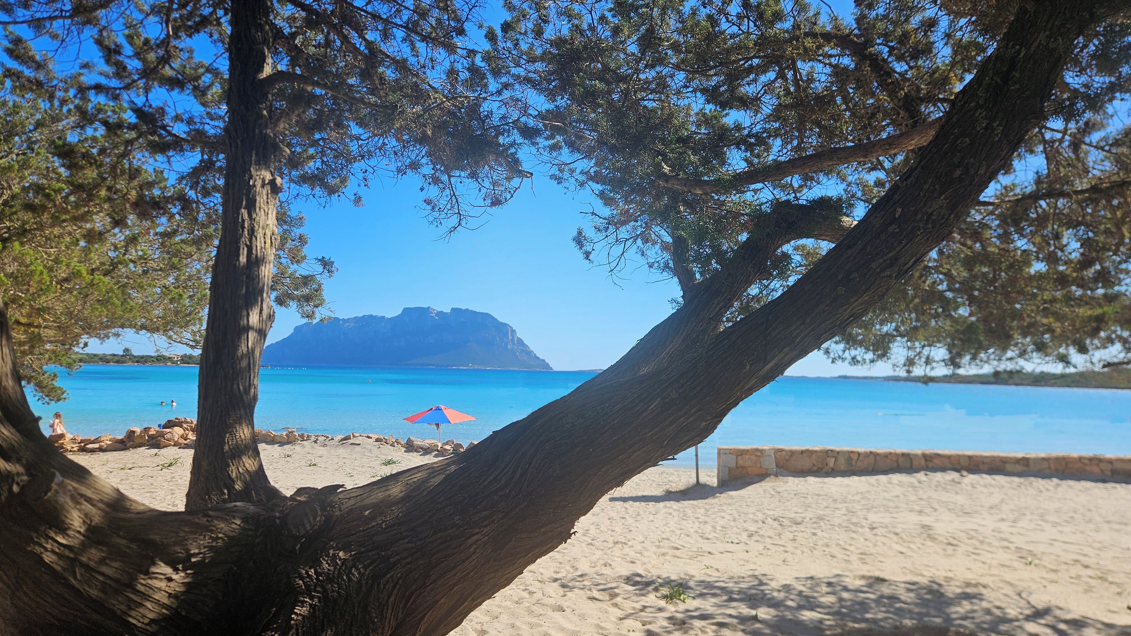 Une plage avec un arbre au premier plan, une mer bleue et limpide, et un promontoire rocheux à l’horizon.