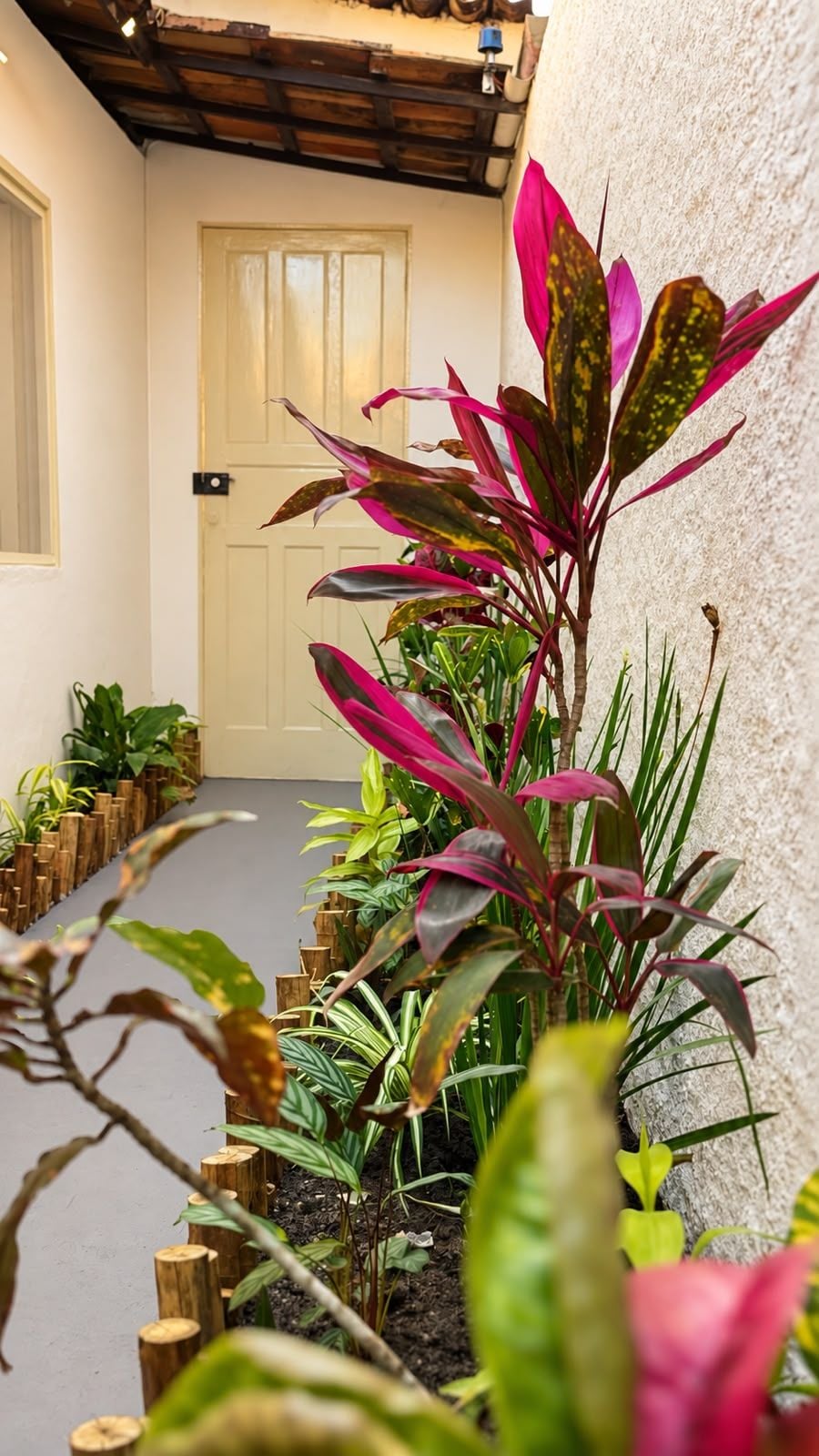 Un étroit sentier bordé de plantes en pot mène à une porte.