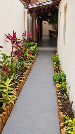 A narrow pathway flanked by wooden planters with various plants.