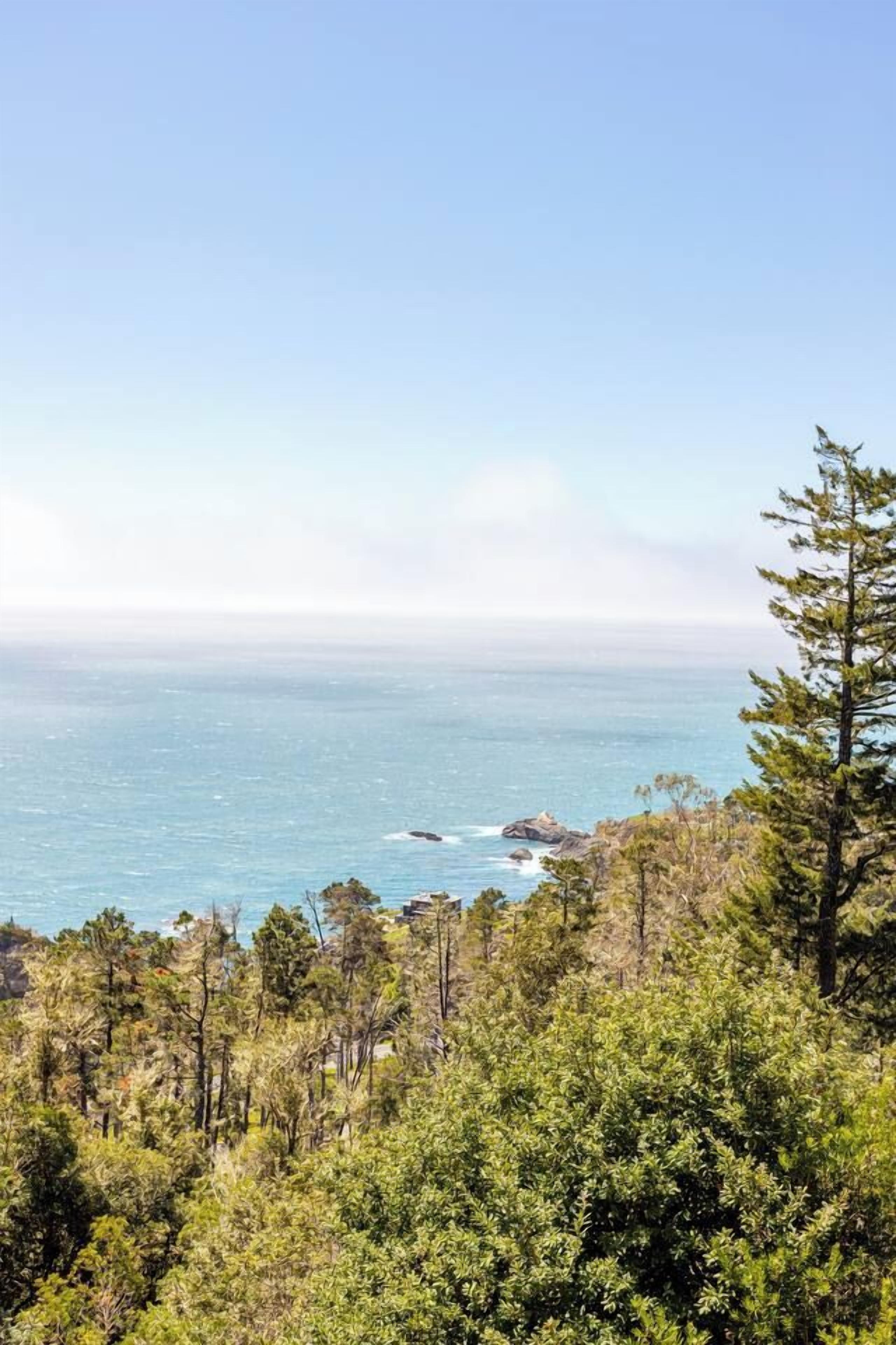 Paisatge costaner amb vista al mar i una zona boscosa.