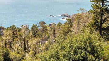 Paisatge costaner amb vista al mar i una zona boscosa.