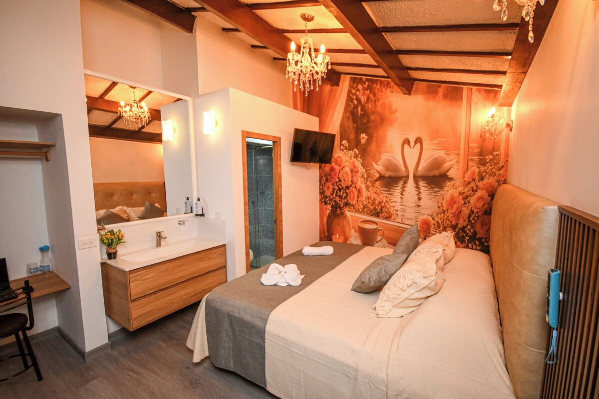 Habitación doble Premium