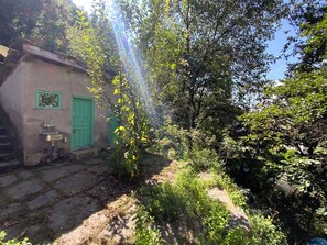 A rustic building with a green door and a small window, surrounded by dense foliage and a dirt path. - Tranquil 1-bedroom Mud House in charming Bashisht perfect for getaway (Bashisht)