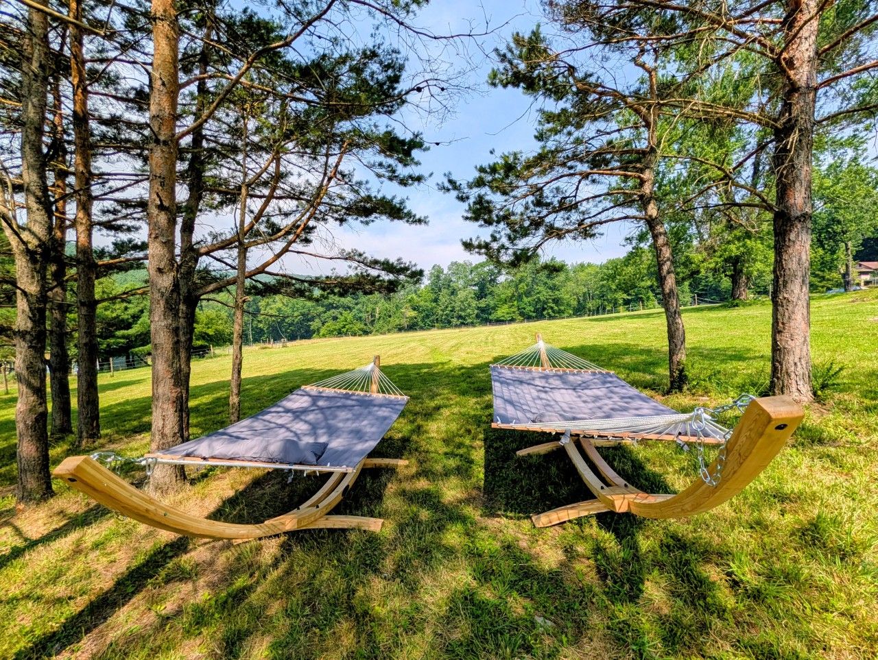 Two hammock-style seating areas in a grassy outdoor setting with trees in the background.