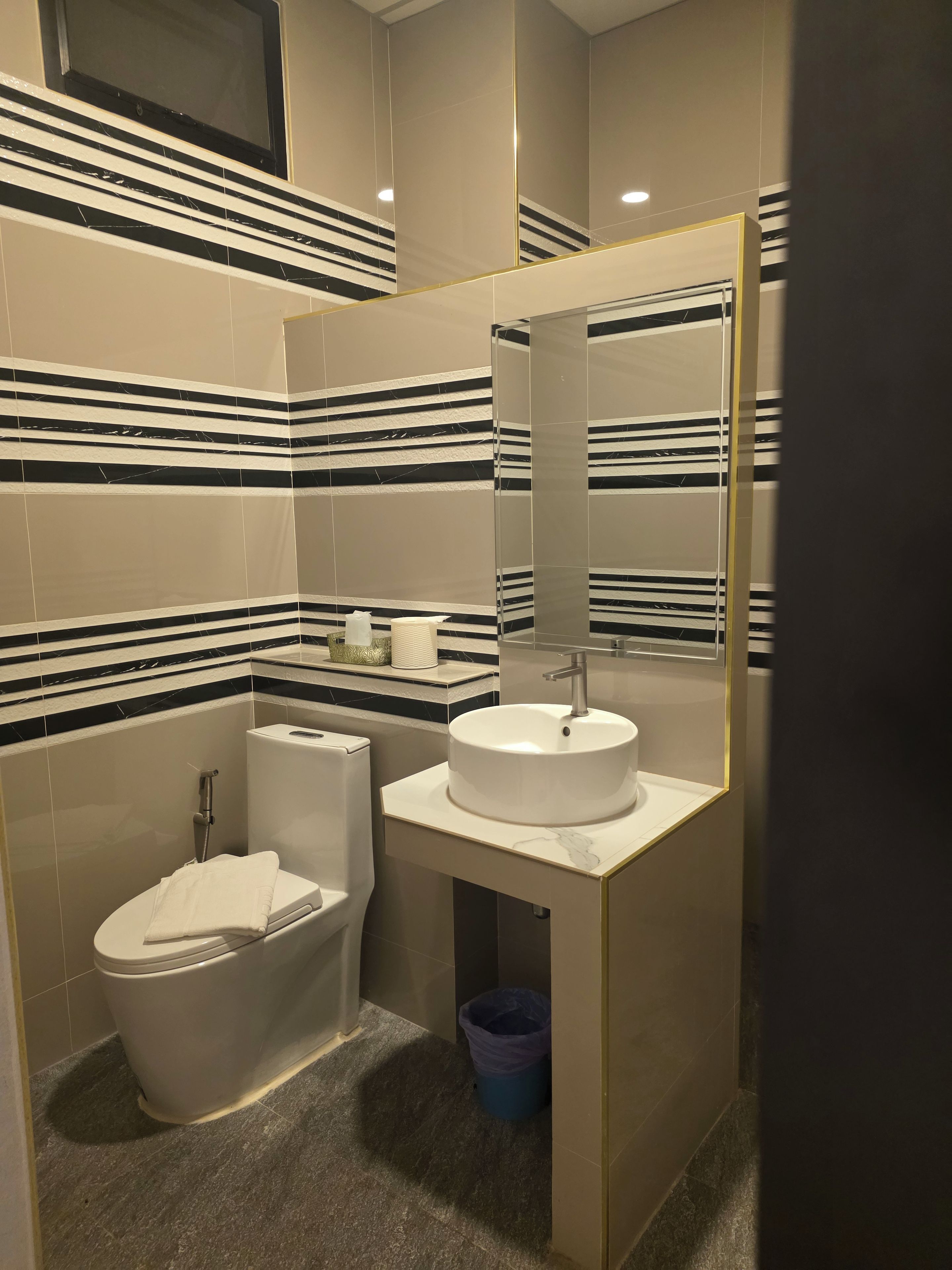 A modern bathroom with a toilet, sink, and mirror.