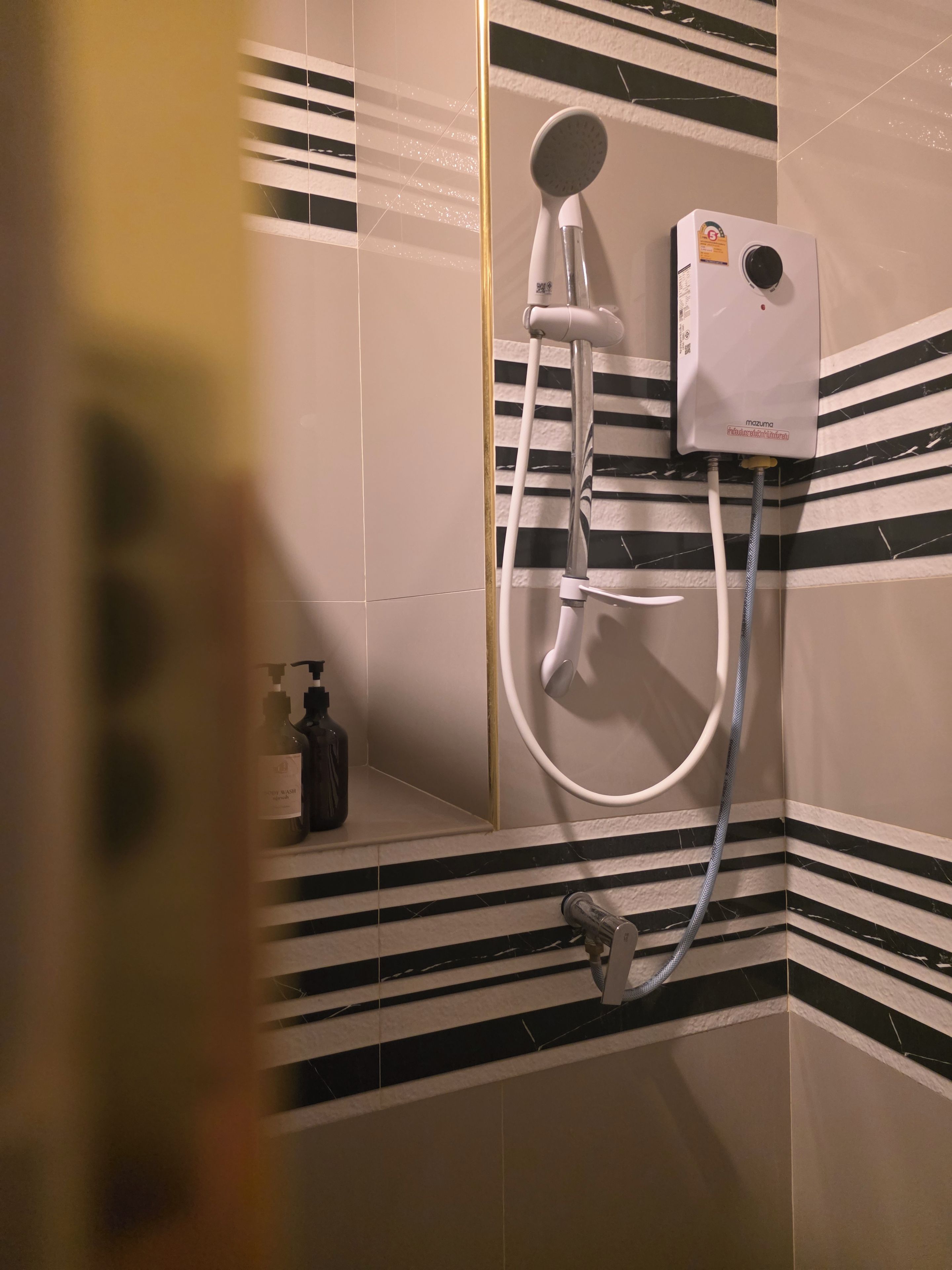 Un espace douche équipé d’un pommeau de douche à main, d’un panneau de commande mural et d’un flexible de douche à main.