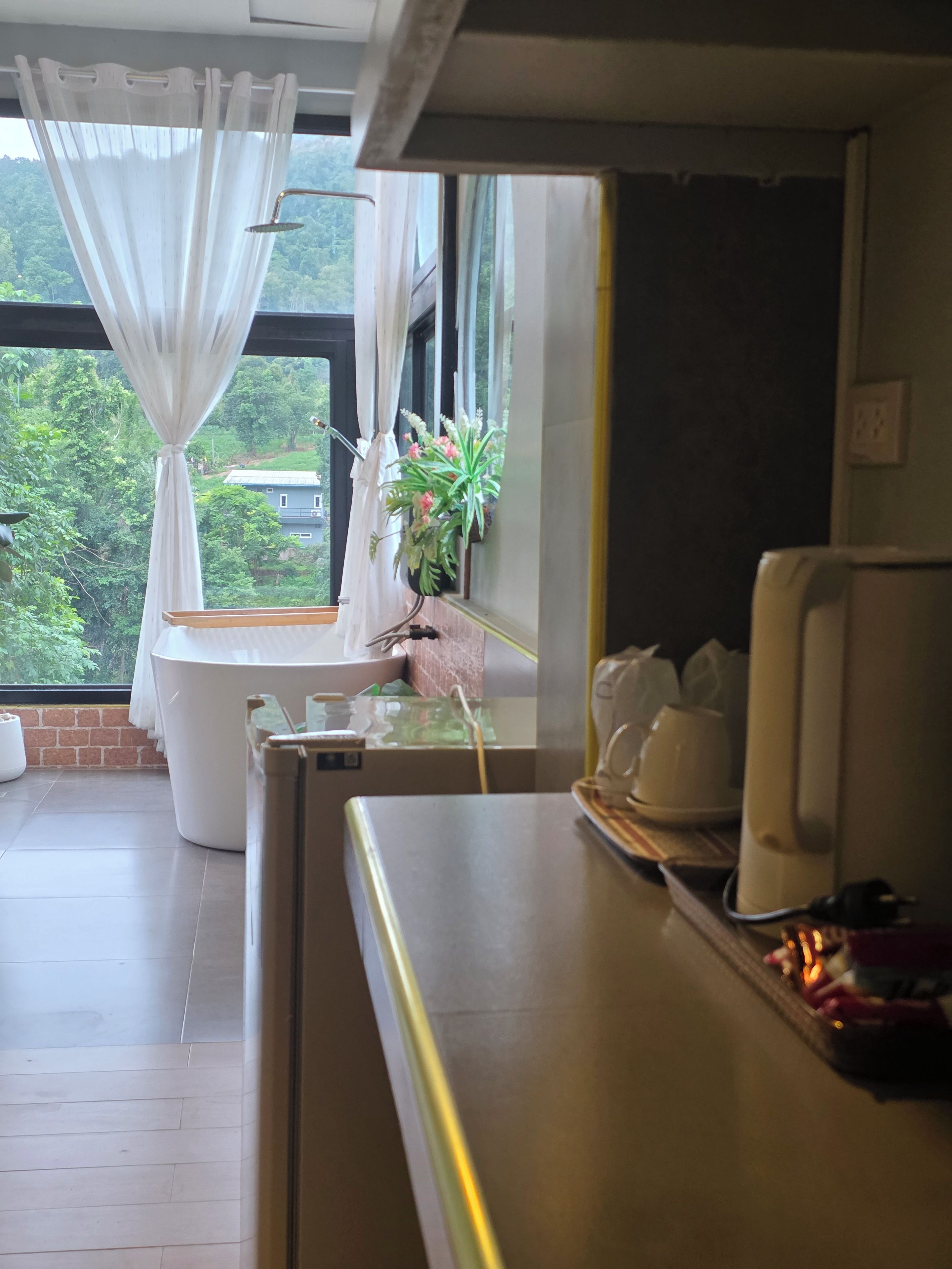 A room with a window, a white curtain, a potted plant, and a countertop with a kettle and cups.