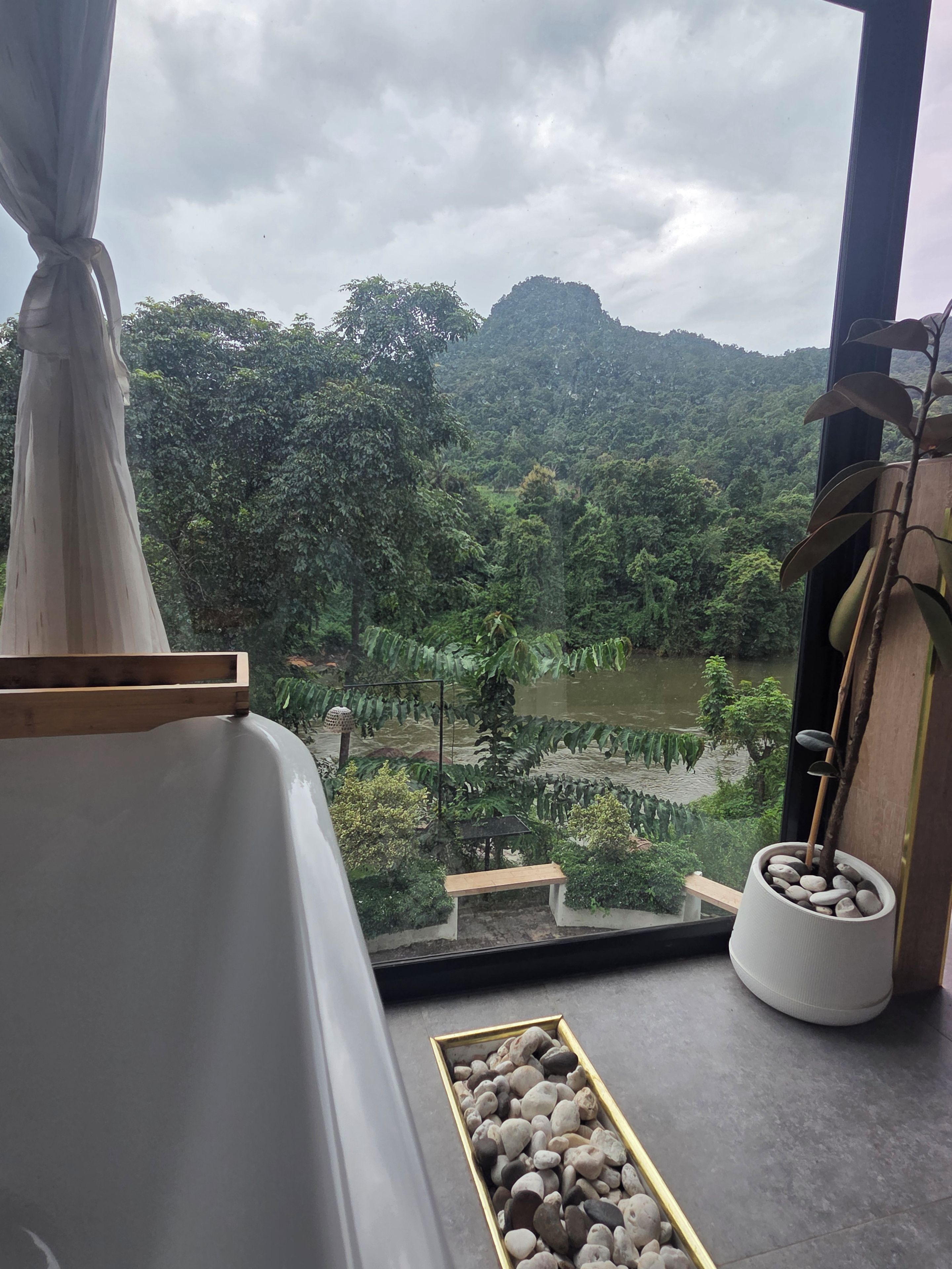 Una habitación con vistas a un paisaje exuberante, una cama, una mesita y una planta en maceta.