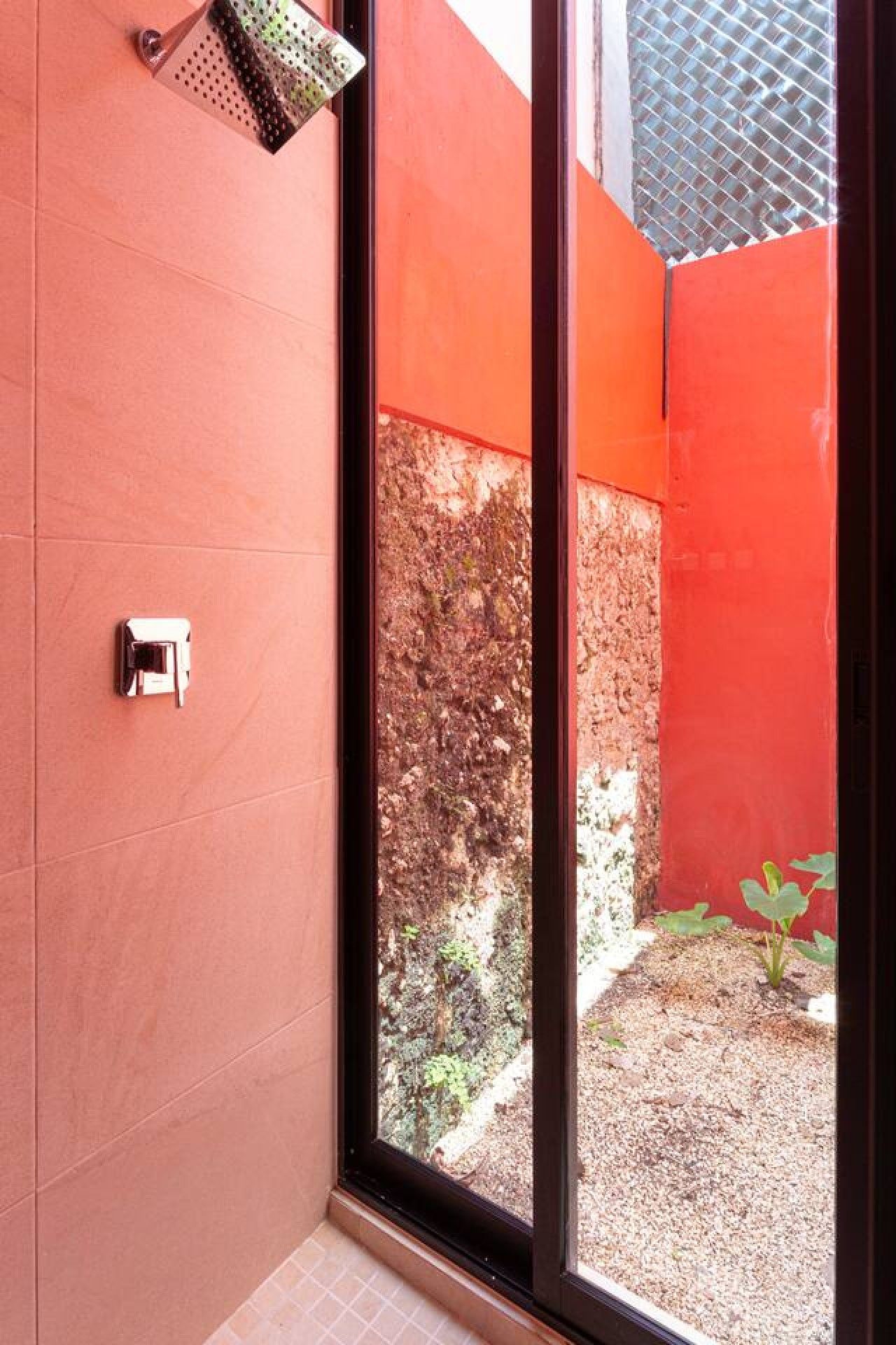 A bathroom with a shower, a window, and a red wall.