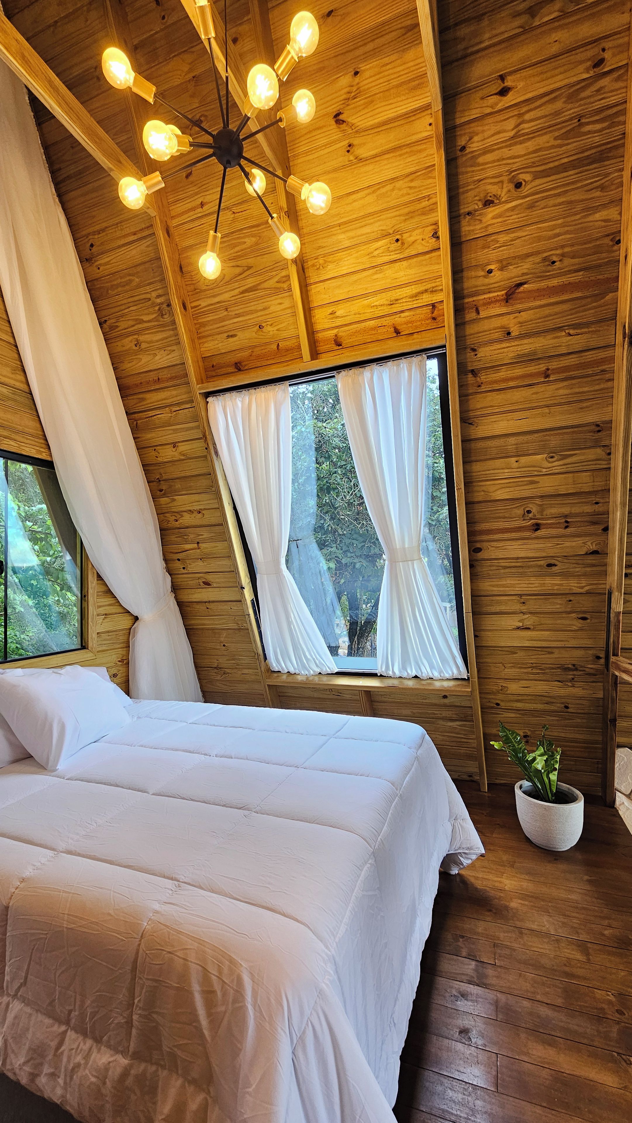 A bedroom with a wooden ceiling, a bed with white bedding, a window with curtains, and a plant on the floor.