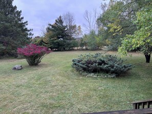 A grassy yard with a variety of trees and shrubs, including a prominent pink flowering tree. - Valeside Lodge: Whiteface views, firepit, privacy, woodstove, rec room (Jay)