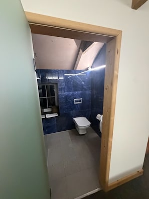 Un baño pequeño con inodoro, lavamanos y zona de ducha.