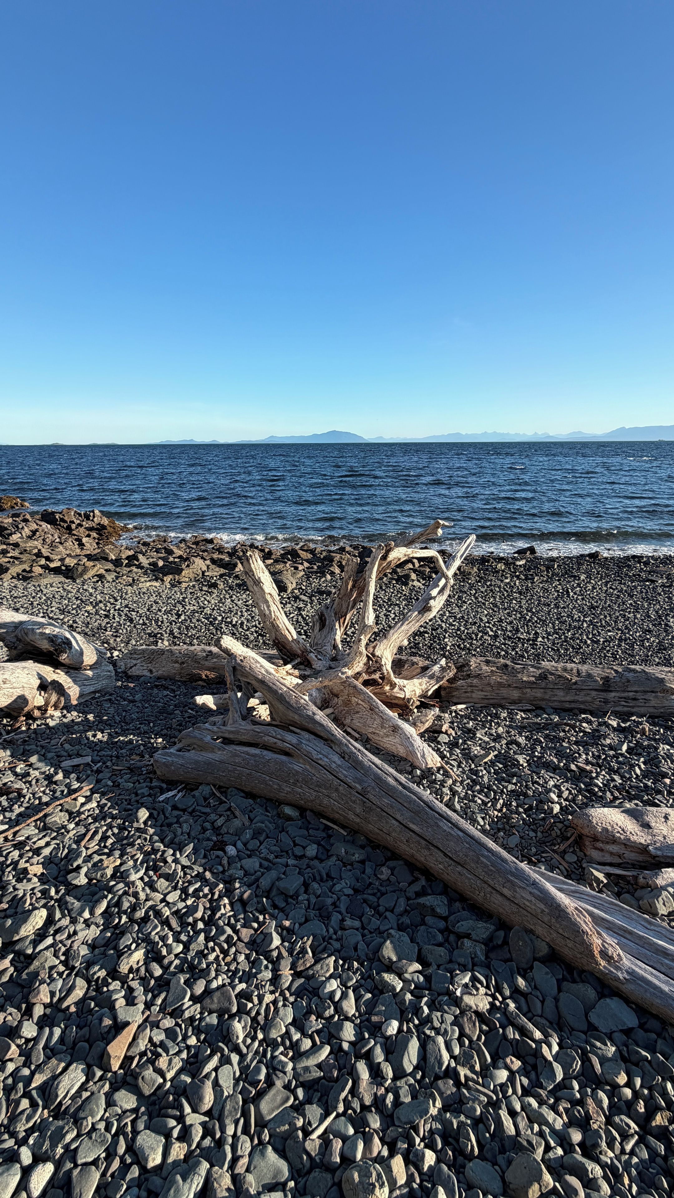 A rocky beach with driftwood and a clear view of the water and distant mountains.