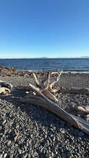 A rocky beach with driftwood and a clear view of the water and distant mountains. - Ocean View Haven, Ocean Views • Stunning Sunsets • Fully Equipped Home •  (Nanaimo)