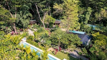 A lush garden with a swimming pool, surrounded by dense foliage and a small building with a green roof.