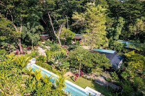 A lush garden with a swimming pool, surrounded by dense foliage and a small building with a green roof.