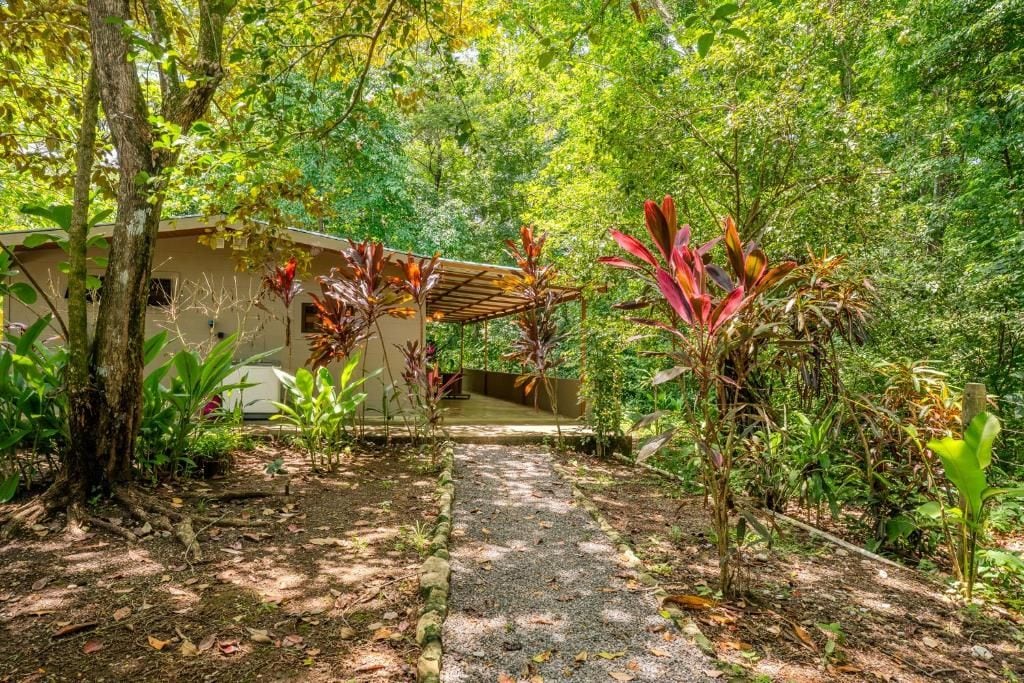A pathway leading to a building surrounded by dense greenery and trees.
