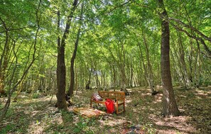 Ein Wald mit einer hölzernen Bank und einem Picknicktisch.