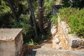 A stone staircase leading up a rocky path surrounded by dense greenery. - Scopello, direct access to the sea (Sicilia)